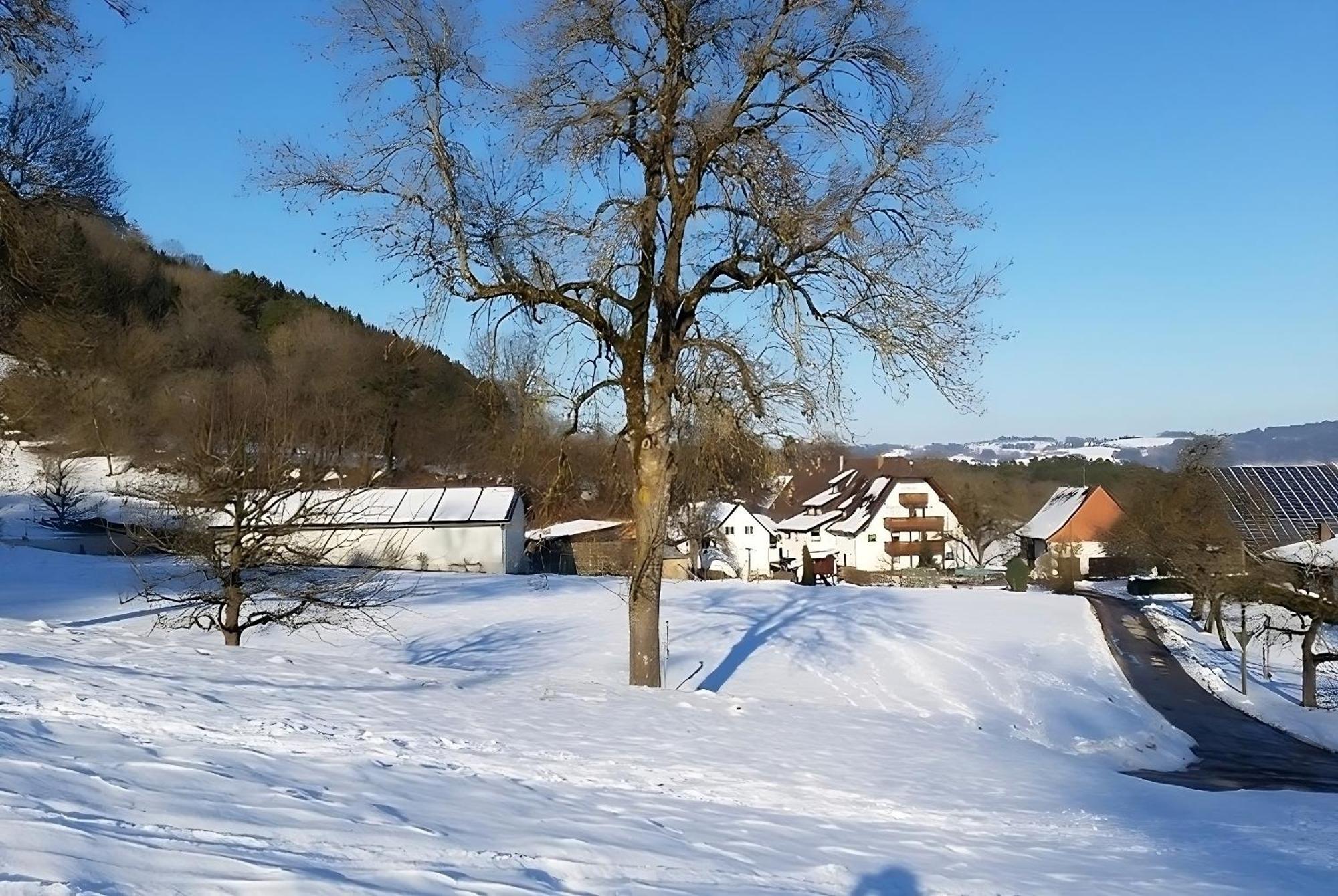 Mayer Burghoefe Owingen Extérieur photo